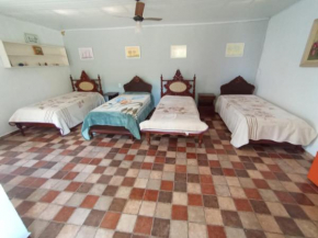 Suites Delicia